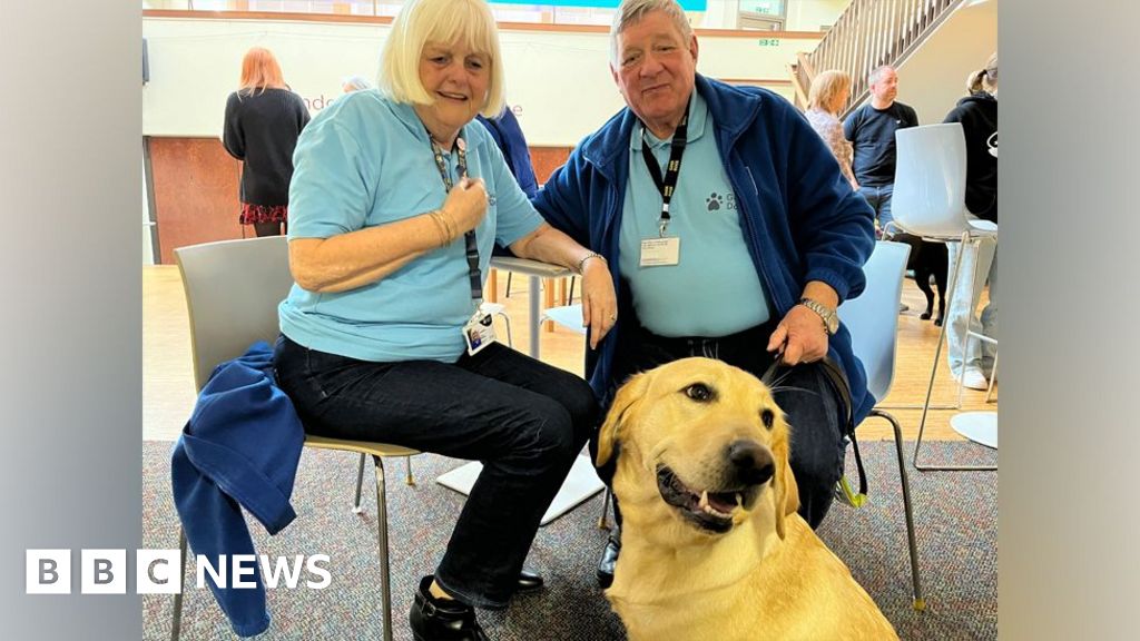 Guide dog puppies get cultured at Northampton theatre