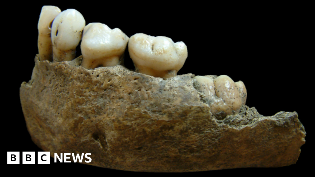 Lack of sunlight rickets cause in North Shields skeletons - study