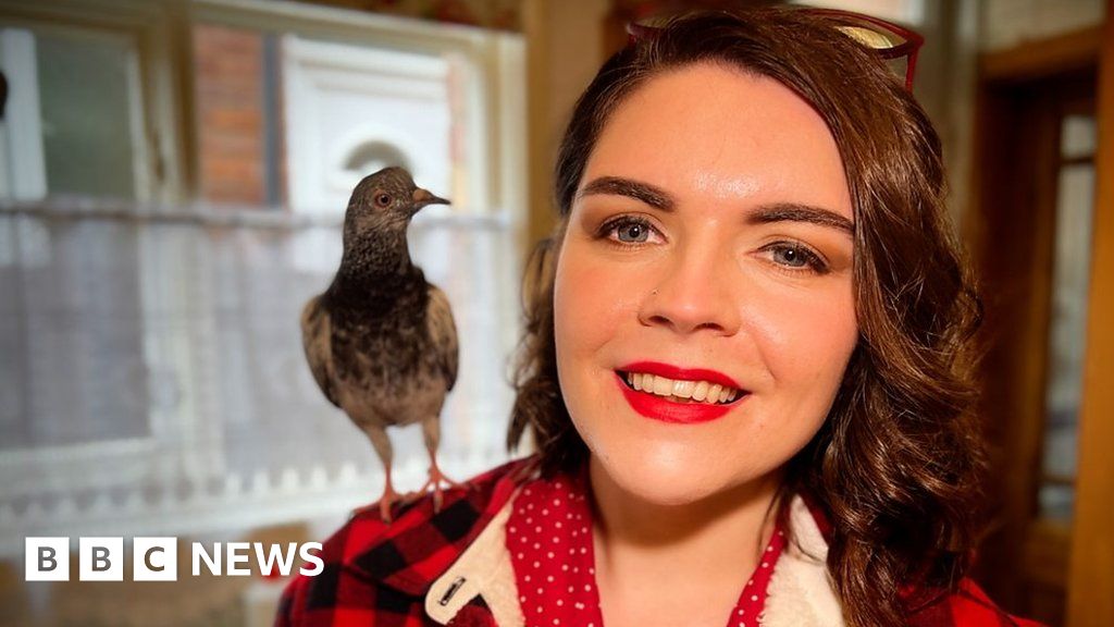 'I am completely besotted with this pigeon'