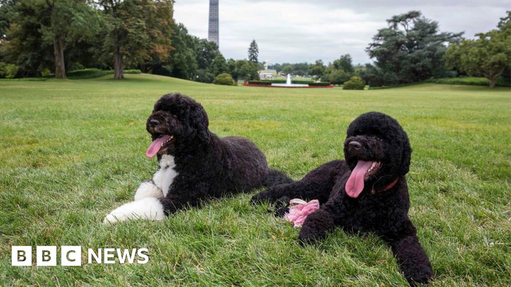 'Plot to kidnap one of Obama's dogs' stopped by police BBC News(02)