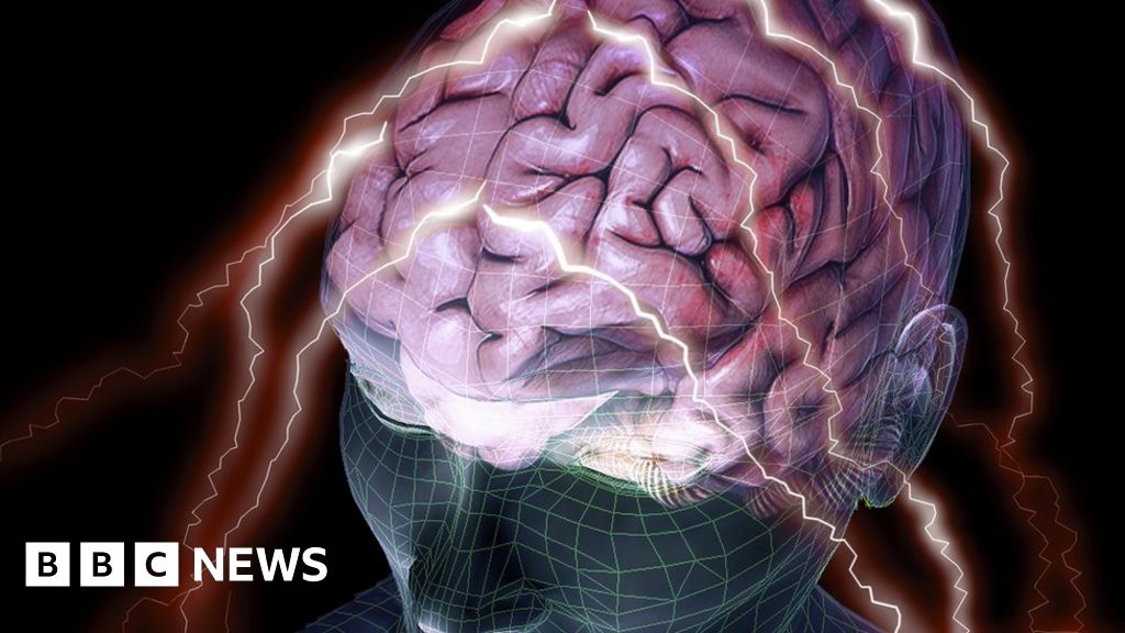Personality linked to 'differences in brain structure' - BBC News