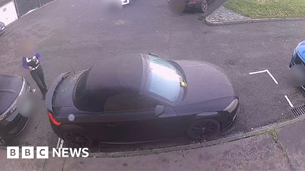 Fines issued after disabled bay painted around car