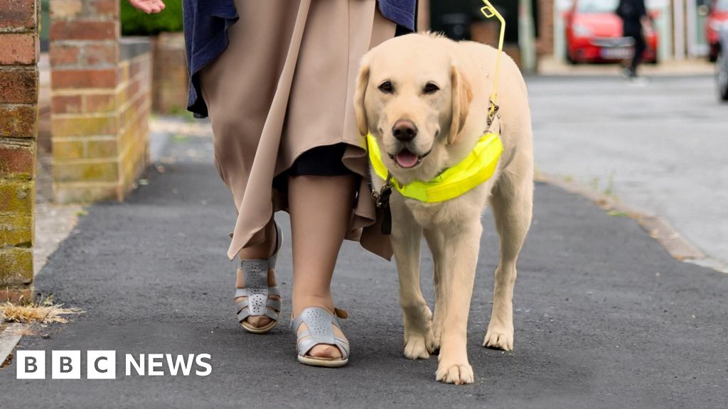 Wolverhampton taxi driver fined for Stoke-on-Trent guide dogs refusal