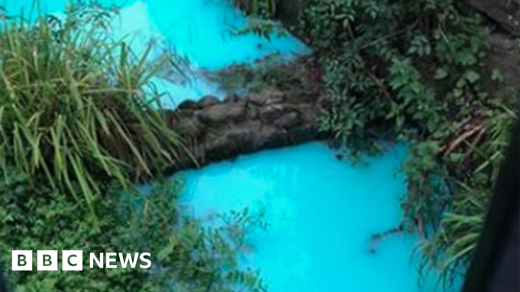 River Frome tributary turns bright blue