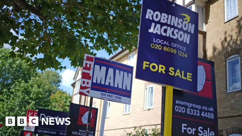 Lewisham Council refers itself to social housing watchdog BBC News