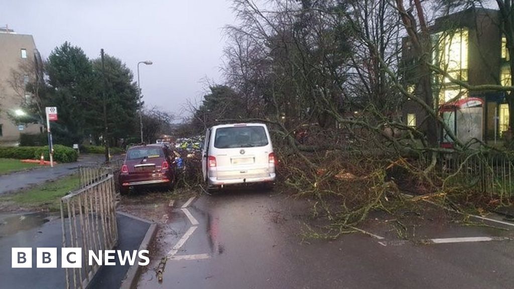 Storm Dudley: Tree falls on to car with three men inside and rail lines ...