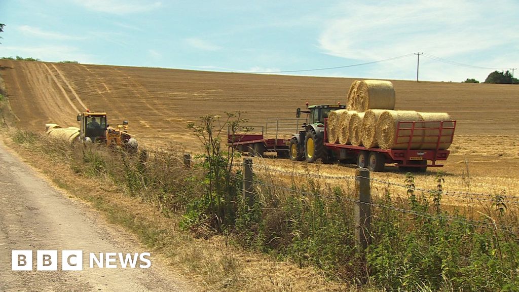 bbc.co.uk - Tristan Pascoe - Government's Farming Roadmap doesn't go far enough say farmers
