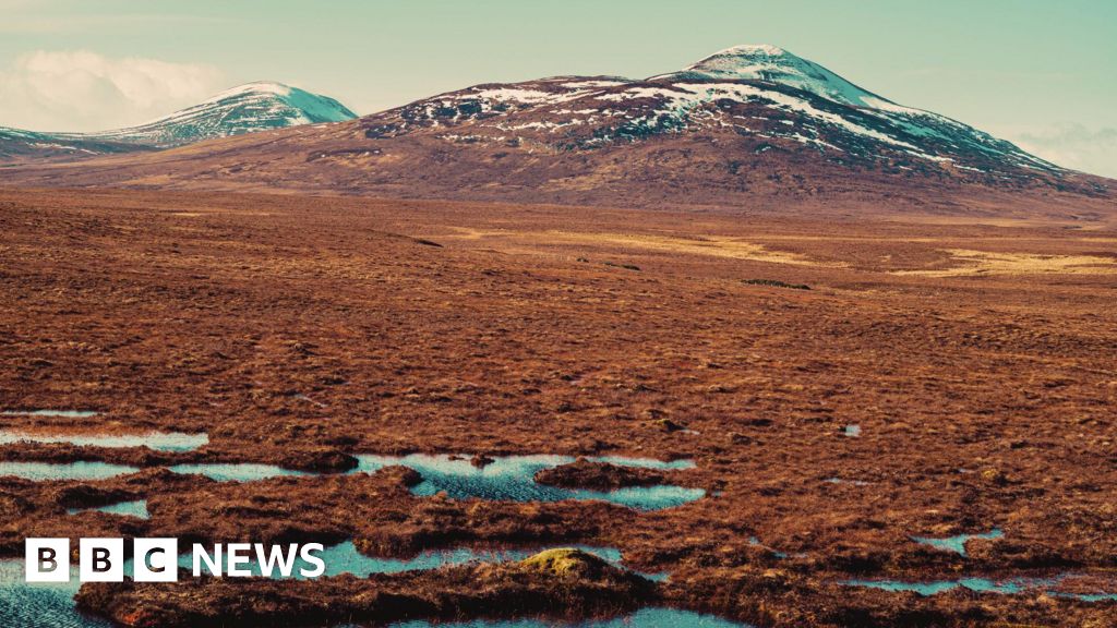 Energy park rejected over Flow Country impact concerns