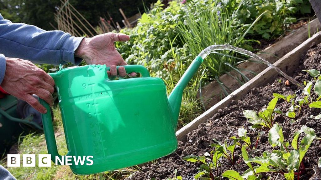 Kent and Sussex hosepipe ban What are the rules and exceptions?