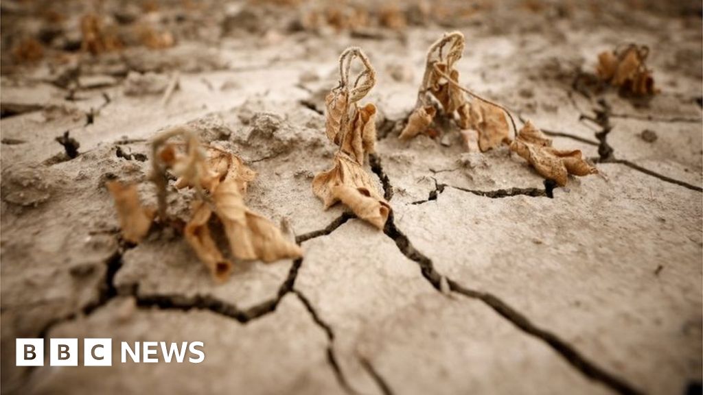 Drought emergency declared in northern Italy