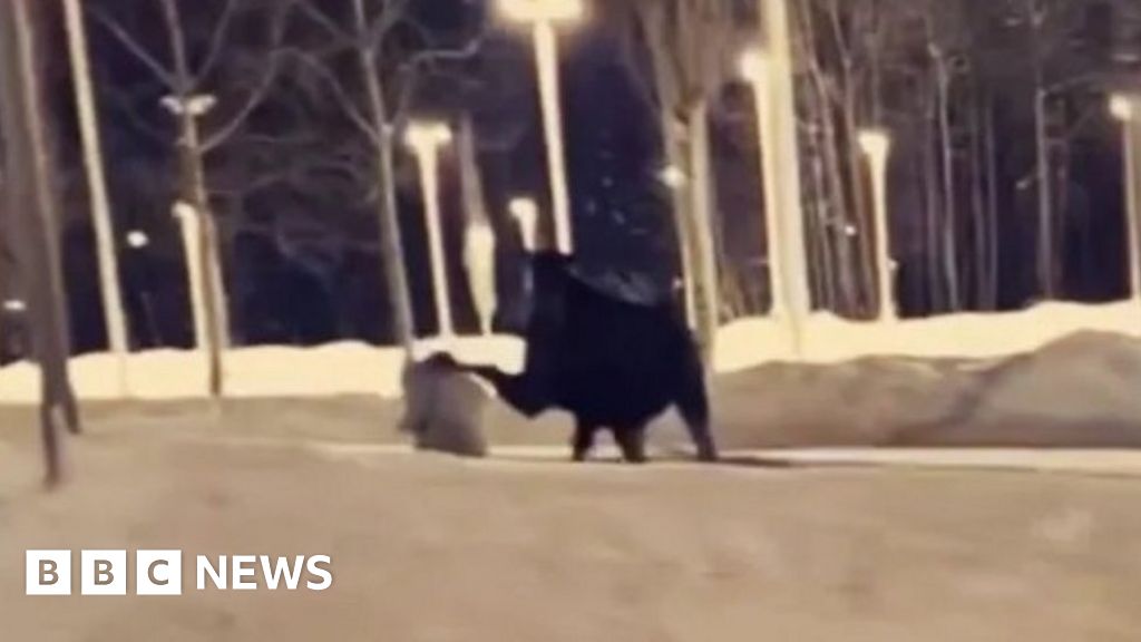 Alaskan woman trampled by moose while walking dog