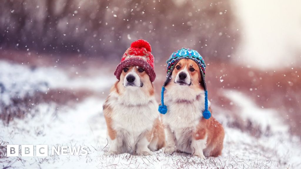 Winter tips: Staying warm and coping with cold weather
