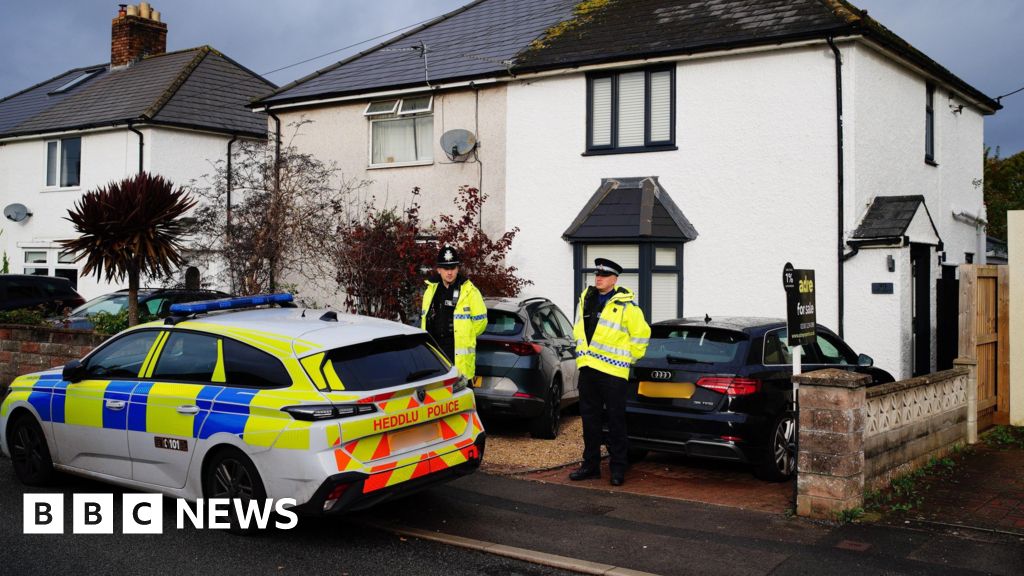 Two arrests after baby killed in XL bully dog attack