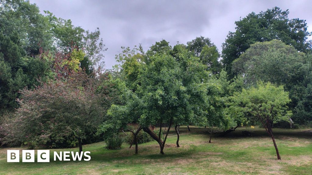 The mysterious Surrey murder that inspired a folk ballad