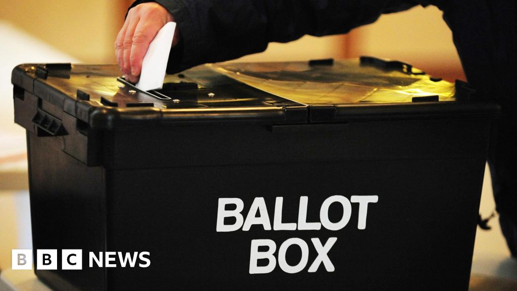 Abuse put people off campaigning, says vote watchdog