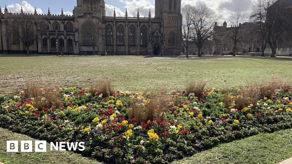 Greta Thunberg Bristol Protest College Green Grass Growing Back