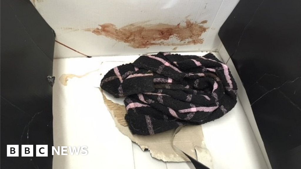 'Attacked' dead puppy found in NewcastleunderLyme bin