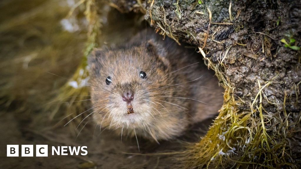 Water agreement to allow 21,000 new homes to by built in Sussex