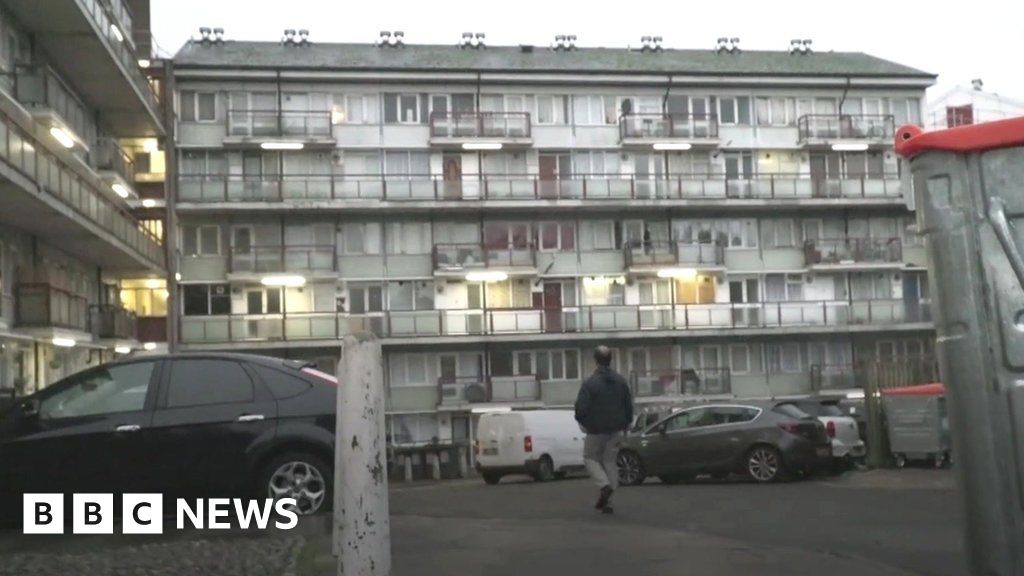 Cockroaches, mould and drugs on London estate