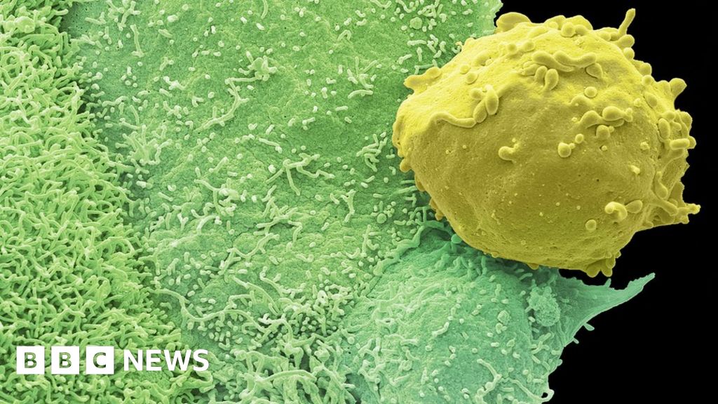 Https Www Nature Com Cancer Cells Https Www Nature Com Cancer Cells