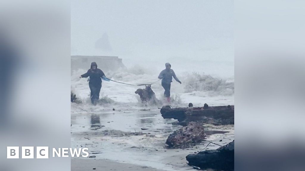 Dog walkers in Oregon caught in tidal surge - BBC News