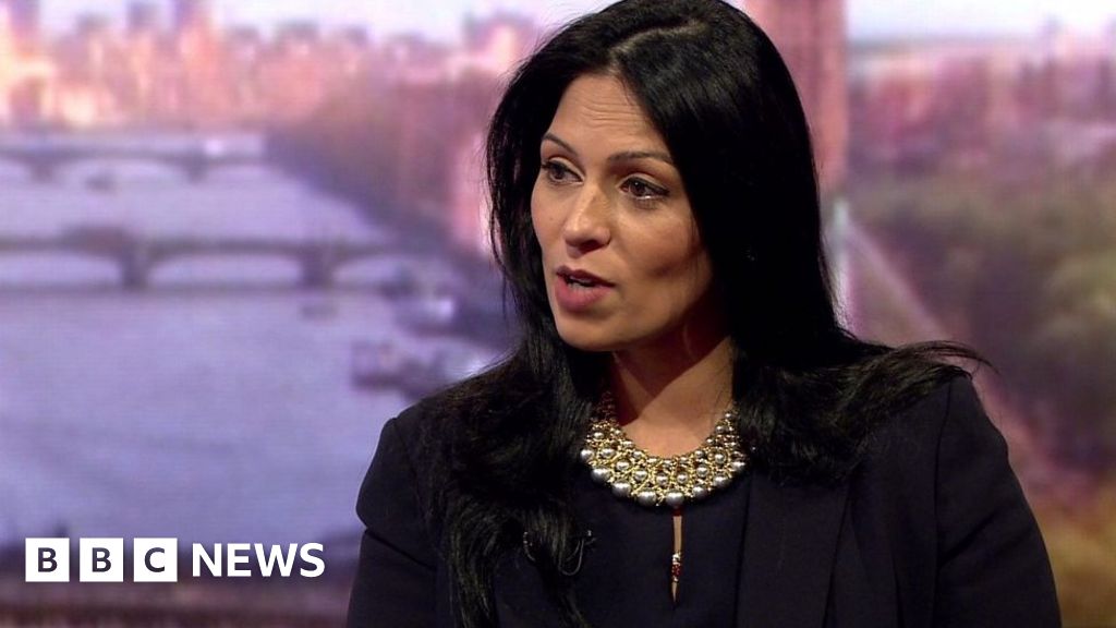 Priti Patel on whether MPs should vote on Brexit negotiation stance ...