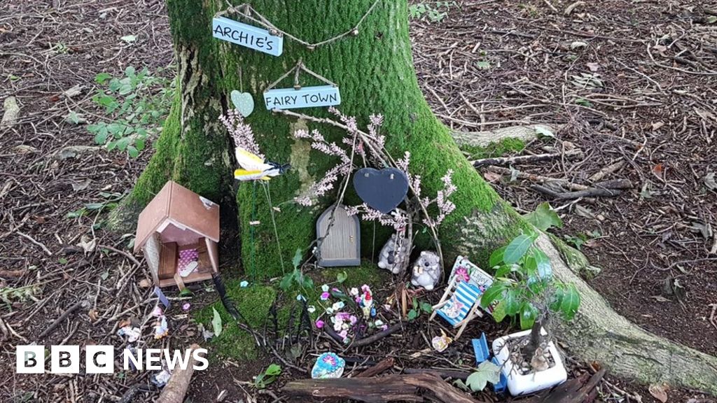 Row Over Fairy Doors Removed From Pembrokeshire Wood Bbc News