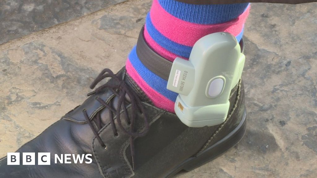Use of electronic tags to be extended BBC News