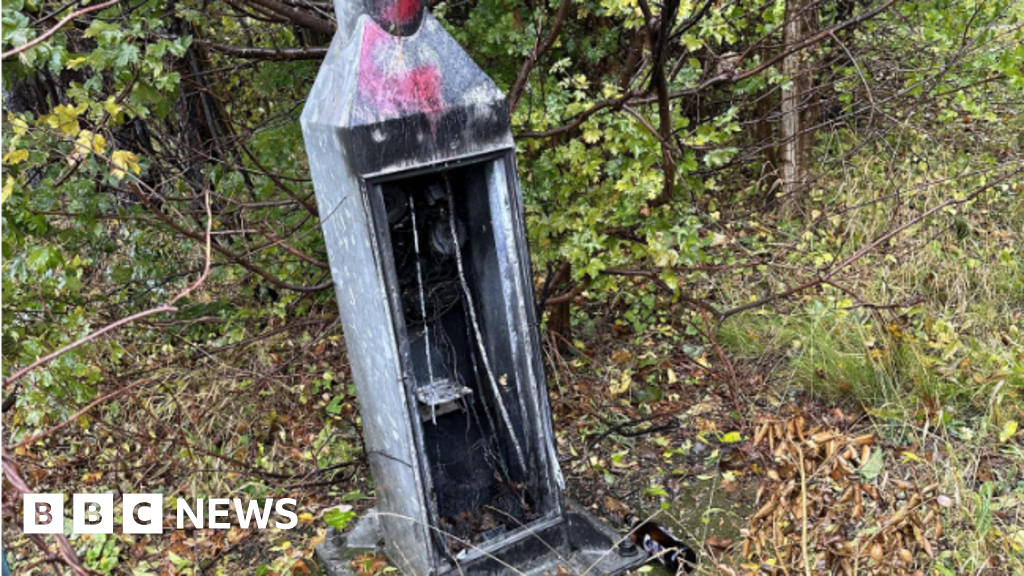 Constant vandalism sees green space project abandoned in Grangetown ...