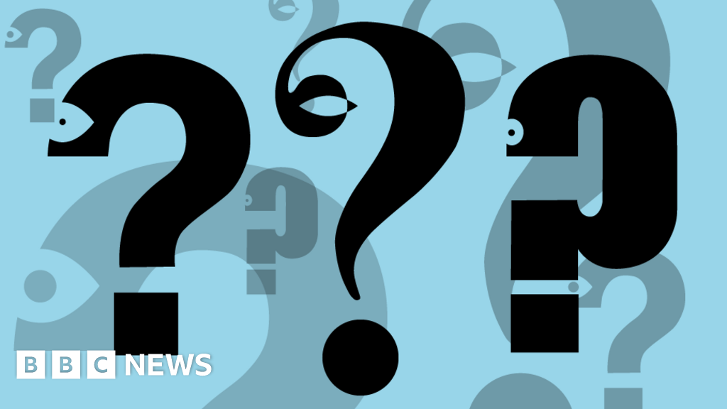 Questions and more. Your questions.