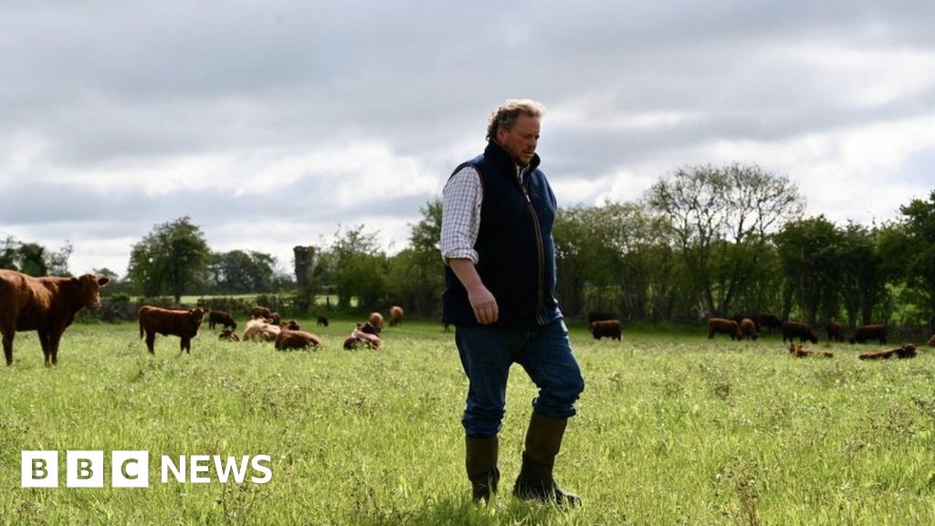 Farmers opposition to UK-Australia trade deal grows