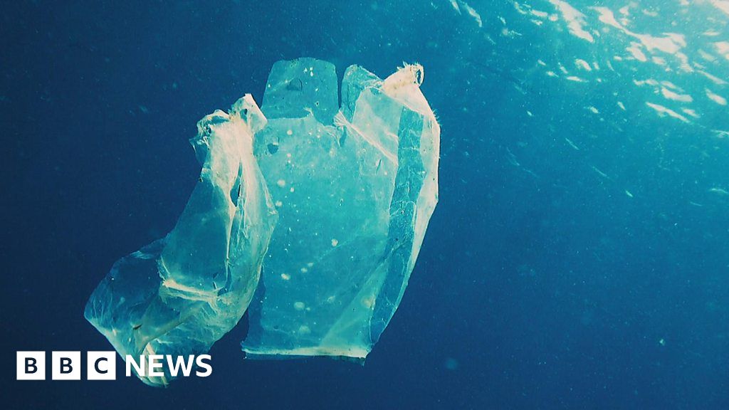 Plastic pollution: how plastic bags could help save the planet