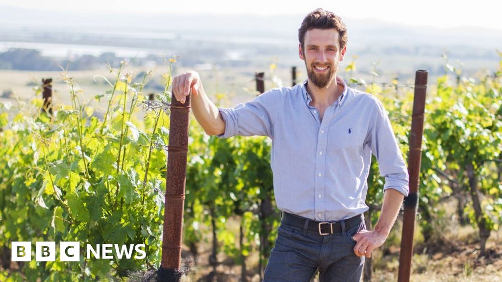 “La IA me ayuda a elaborar vino para jóvenes bebedores”