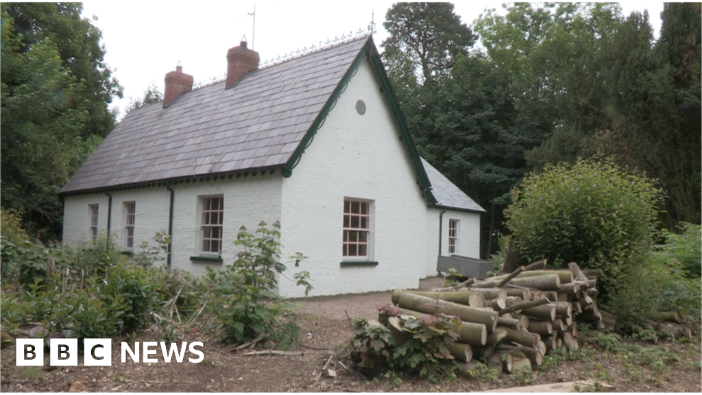 Viscount's private Lough Neagh island available for rent BBC News