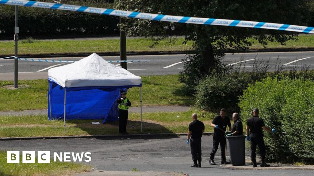 Andre Lee: Rotherham murder accused in court over man's death - BBC News