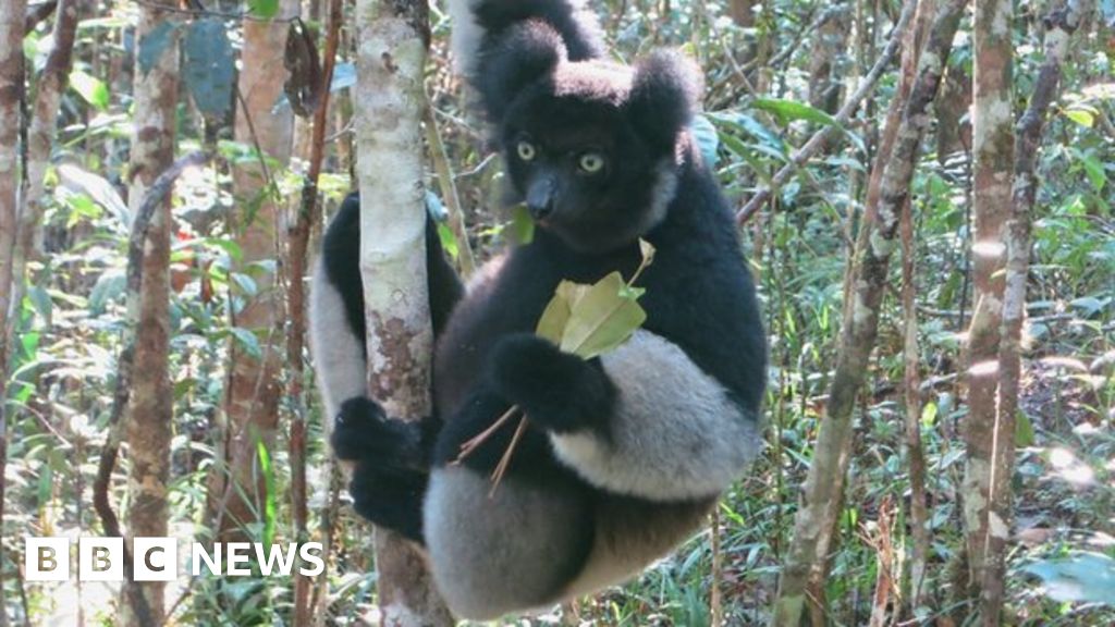 Madagascar