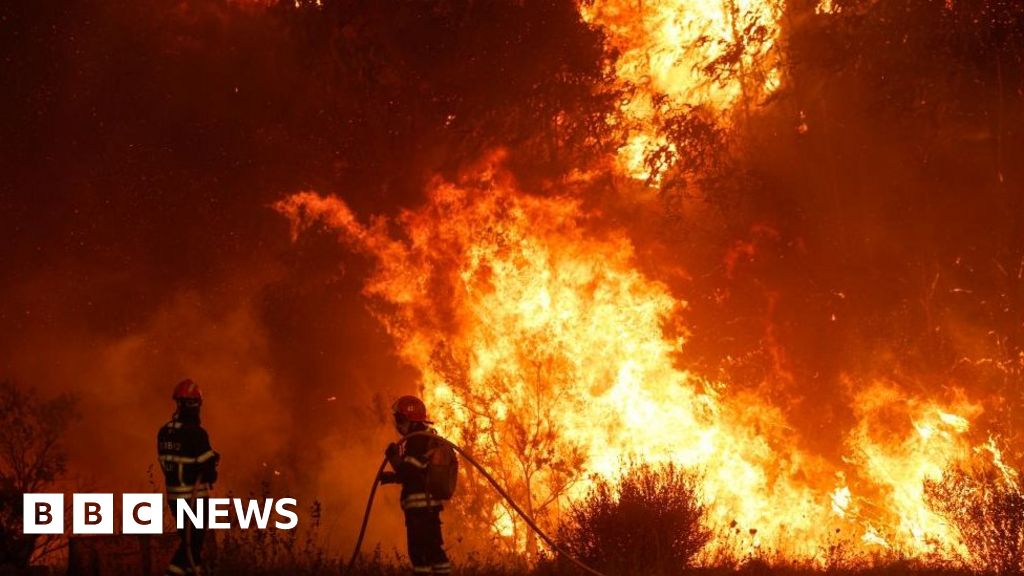 Пожарникарите в Португалия се борят да овладеят горски пожари, обхващащи