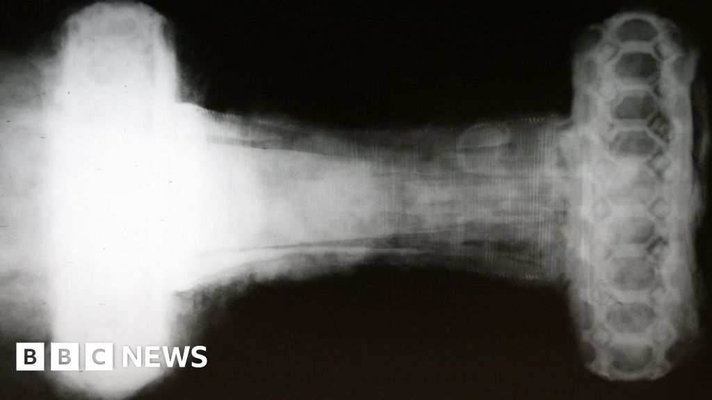 Orkney's rare Viking sword has 'many stories to tell' - BBC News