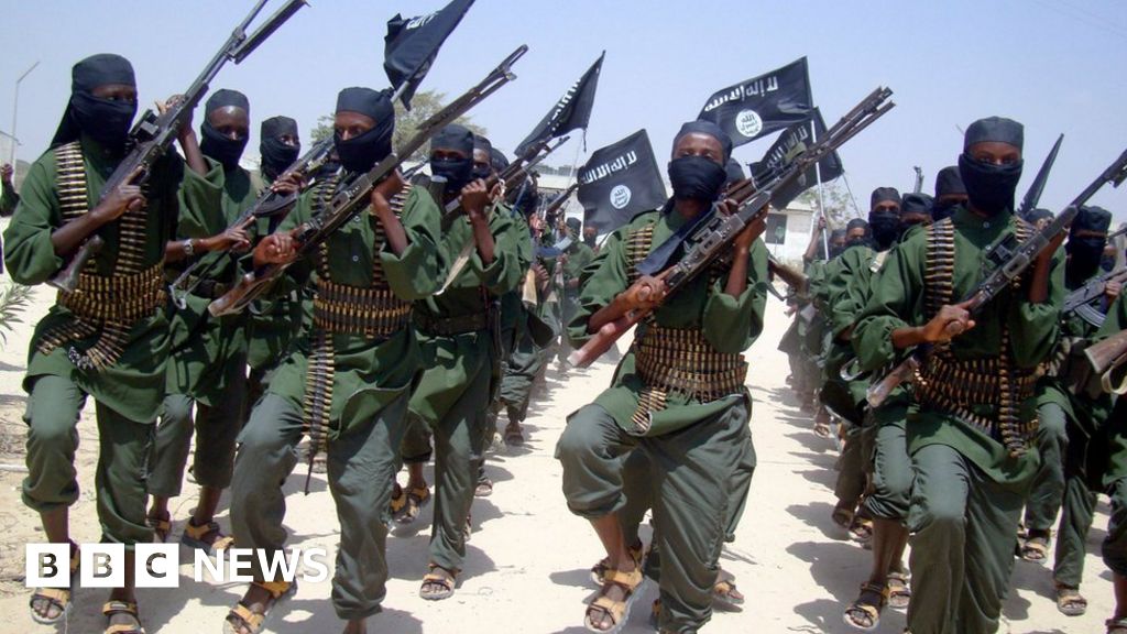 US 'admits Somalia Air Strike Killed Allies, Not Al-Shabab' - BBC News