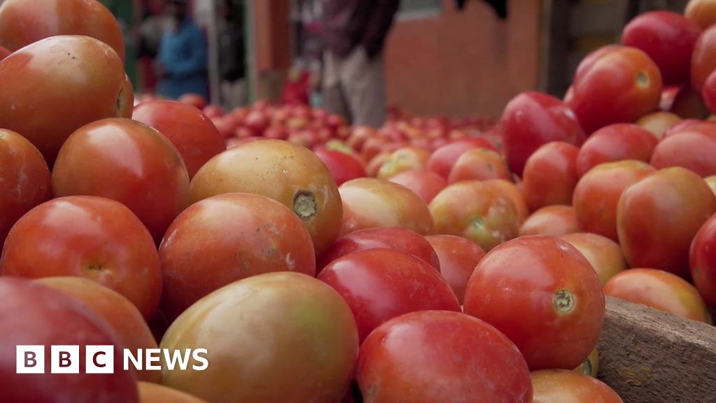 Climate change: Why are tomato prices in Africa increasing? - BBC News
