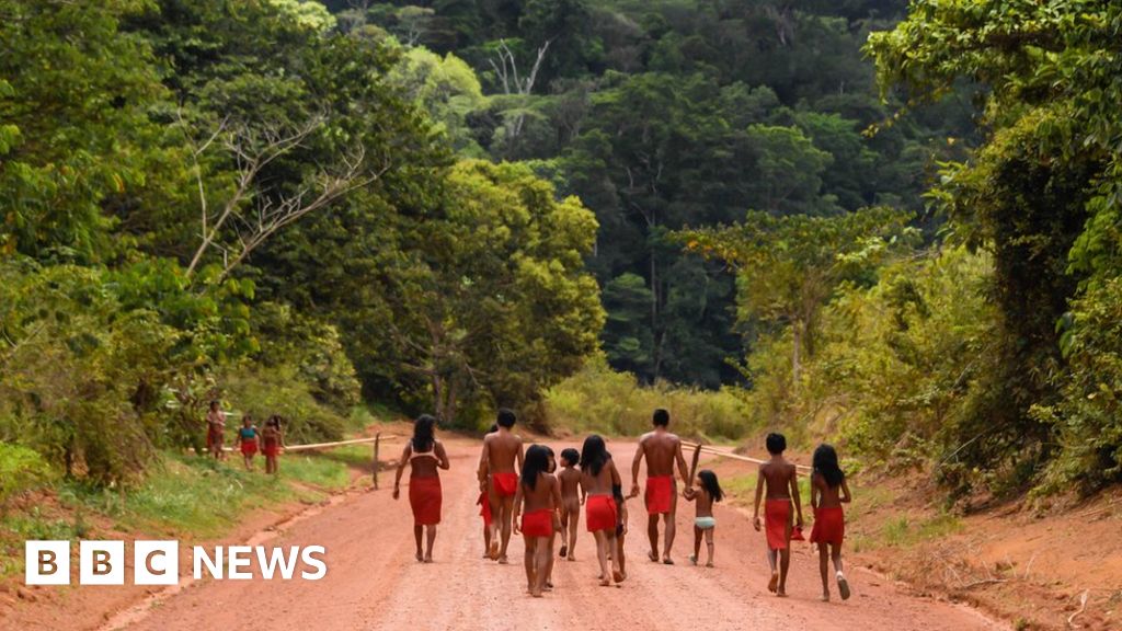 Indigenous man killed as Brazil miners take land
