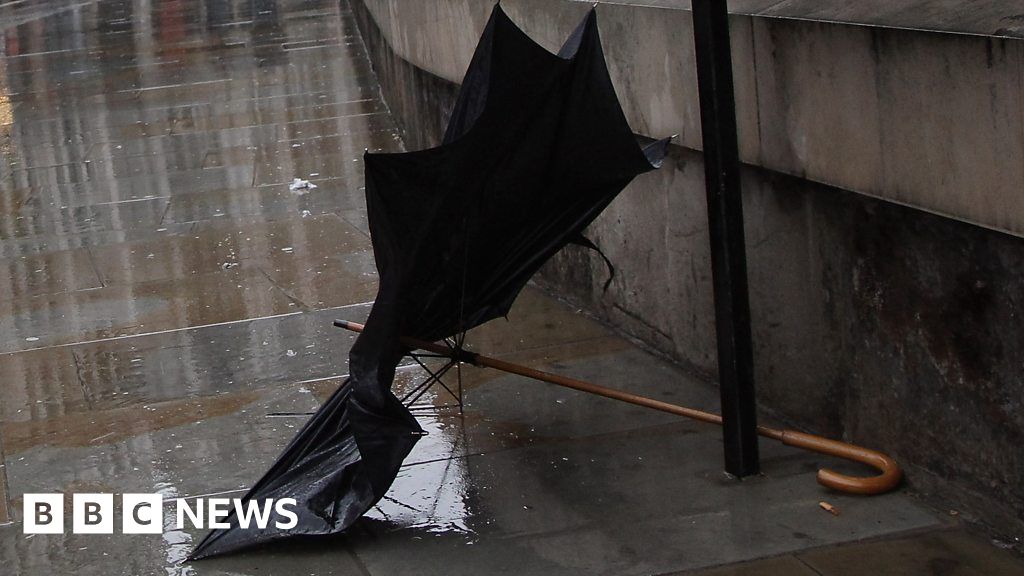 This Too-Small Umbrella Outdoes the Biggest Storm Cover-Up Ever Made