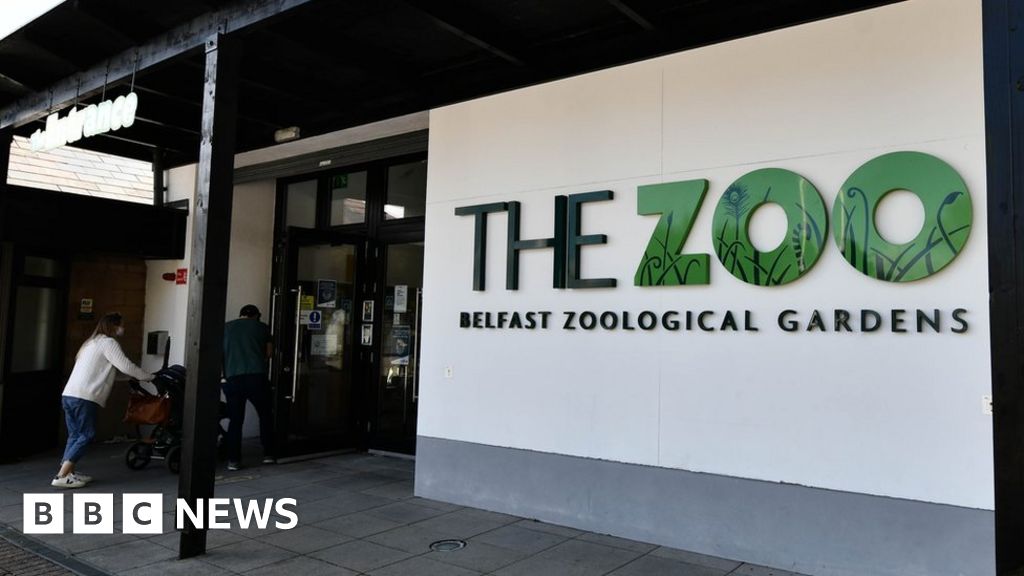 Belfast Zoo Apologies after zoo customers face long Easter queues