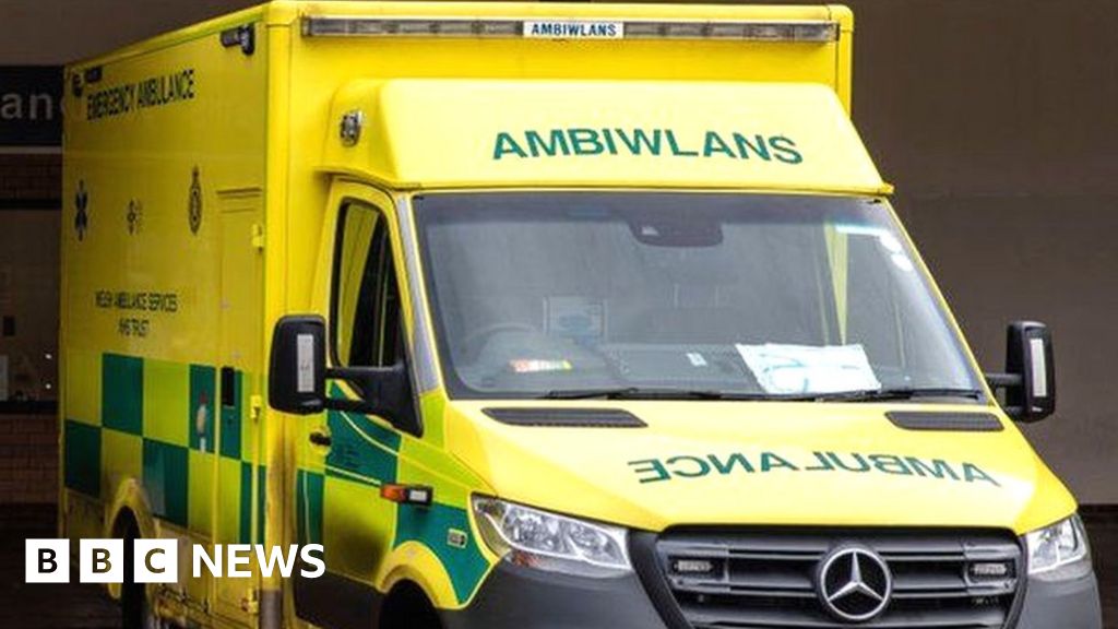 Caerphilly: Baby in hospital after dog attack