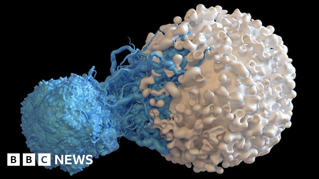 Immune 'may treat all - BBC News