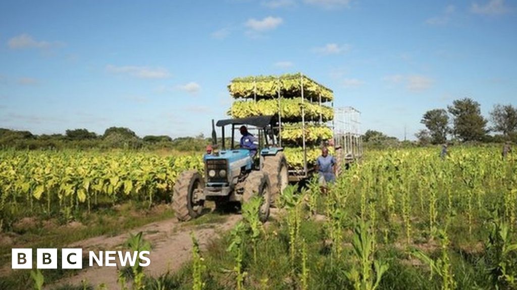 Zimbabwe To Return Land Seized From Foreign Farmers