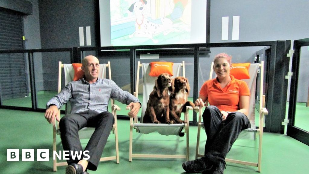 Abergele dog friendly cinema set for round of a paws BBC News