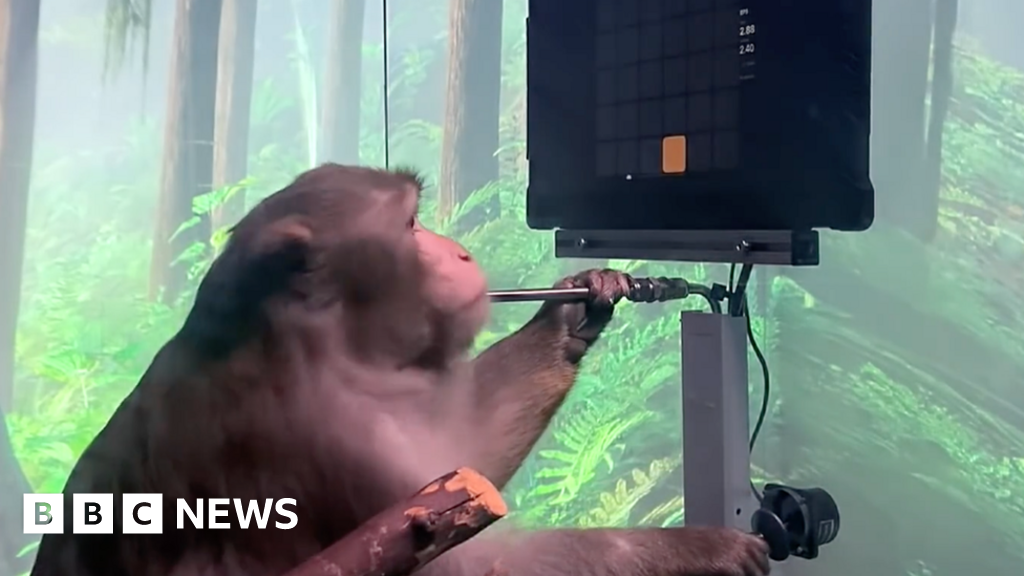 Elon Musk's Neuralink 'shows monkey playing Pong with mind' - BBC News