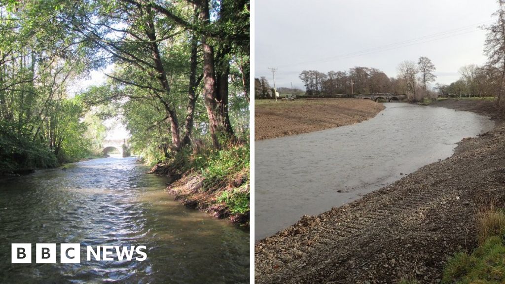 Diggers Used To Illegally Rip Trees From Banks Of River Lugg - Bbc News