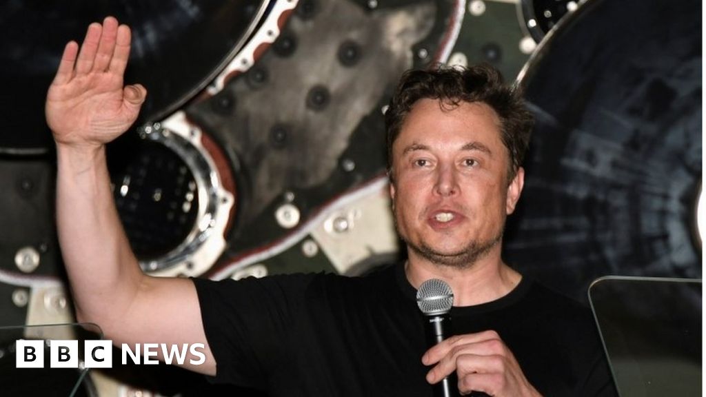 The weird and wonderful life of Elon Musk